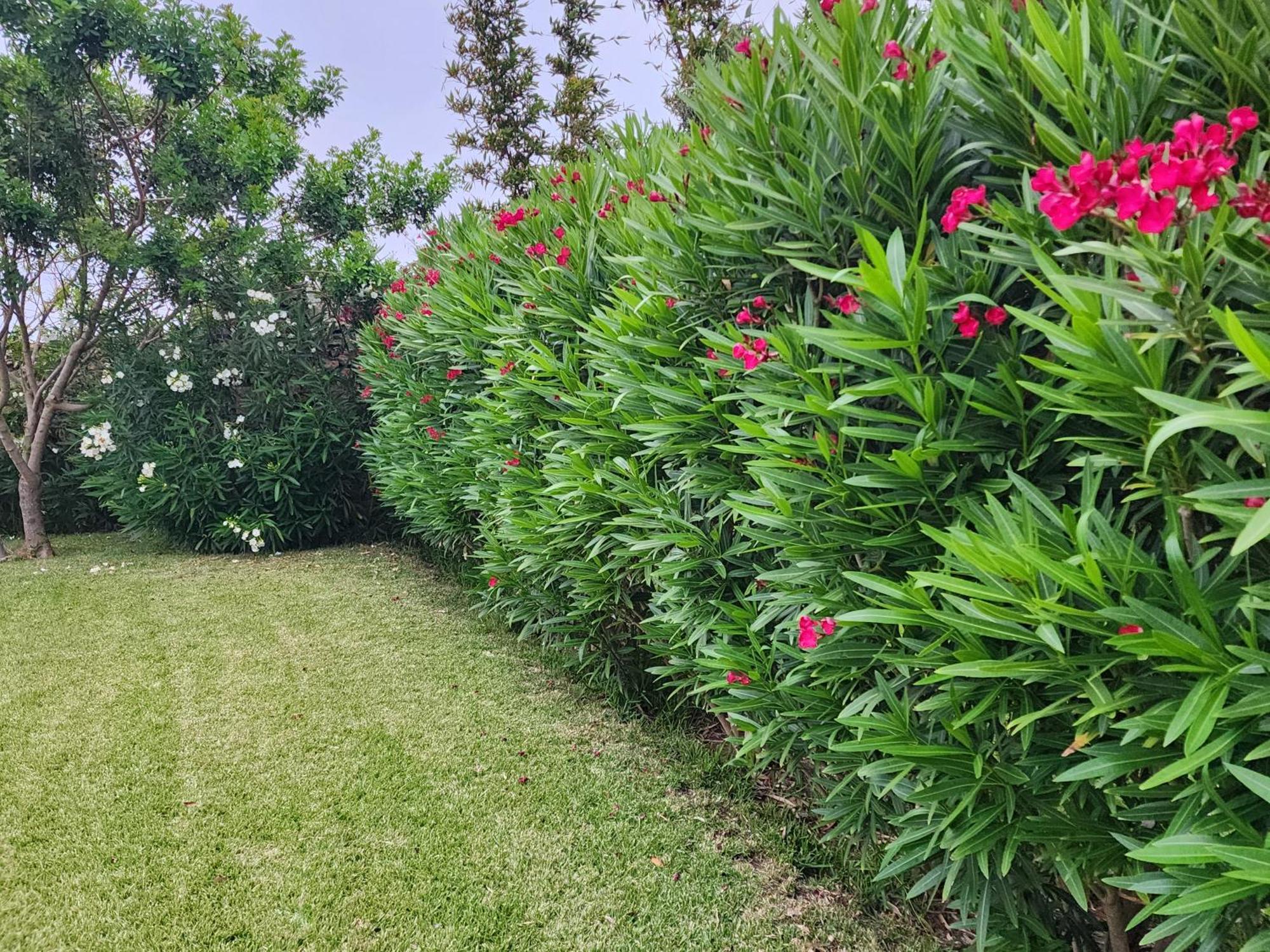 La Villa Joubert Oualidia Zewnętrze zdjęcie